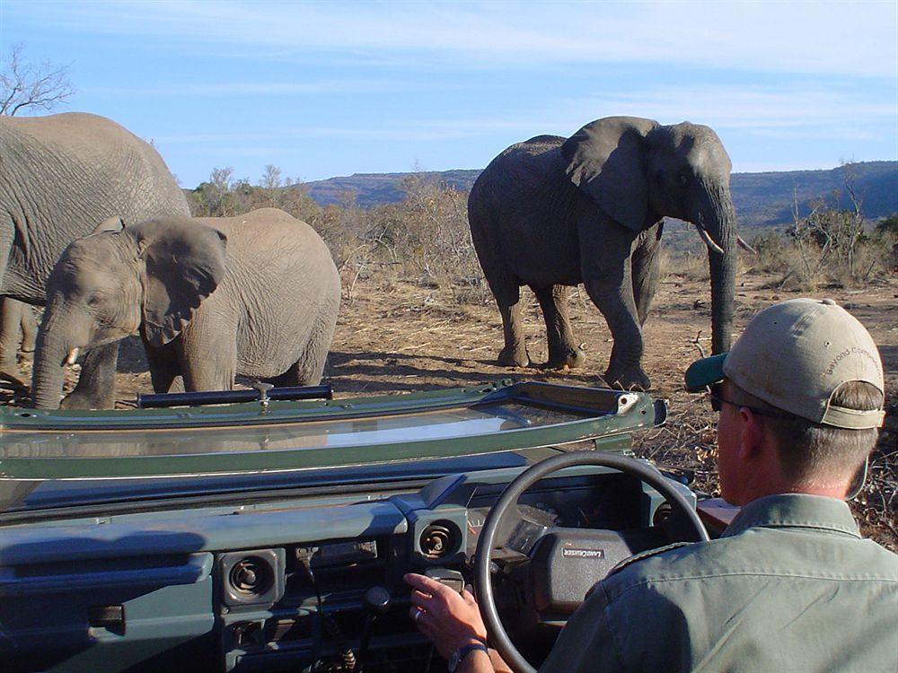 Entabeni Mountain Lodges Mmamatlakala Buitenkant foto