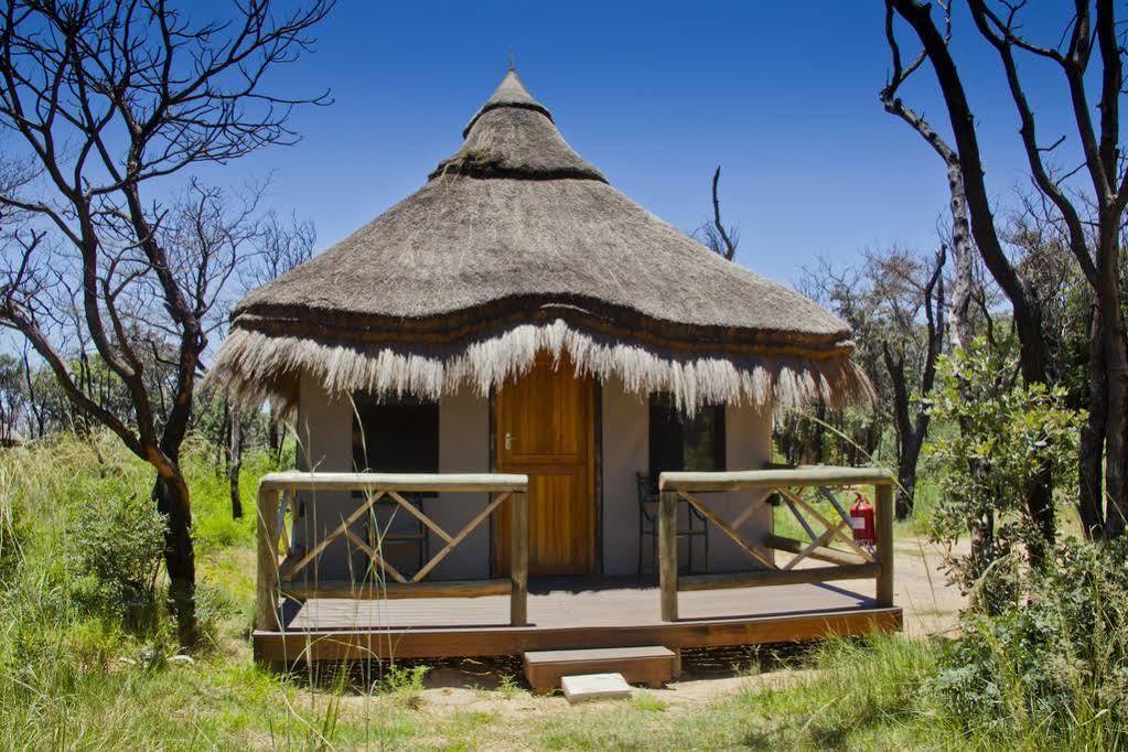 Entabeni Mountain Lodges Mmamatlakala Buitenkant foto
